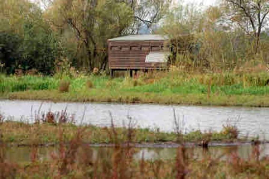 The Loft At The Croft - Stunning Rural Retreat Perfect For Couples & Dogs Villa Leigh  Exteriör bild